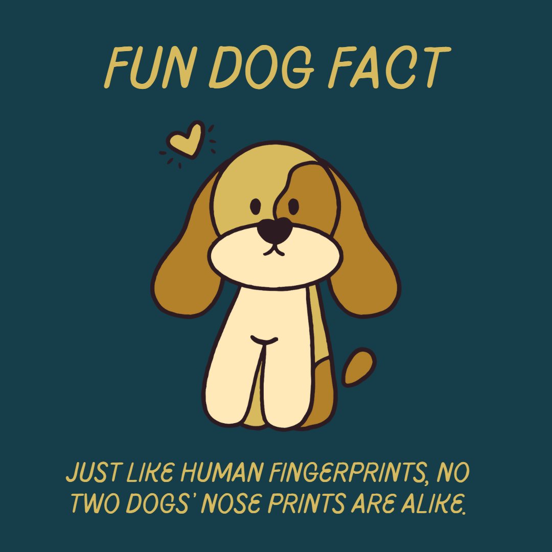 DextersLPF's tweet photo. Fun fact for your Wednesday morning! #funfact #didyouknow #fingerprints #dognoses #dexterslpf #kennel #dogs #pets #littledogs #bigdogs #dexters #luxury #pet #furniture https://t.co/D4gFvdMuj2