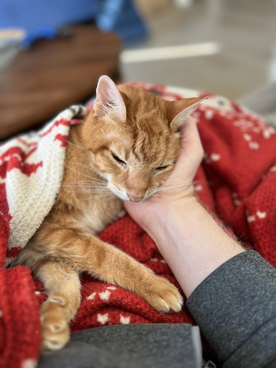 Anthony Rapp SAG-AFTRA National Board Member tweet media