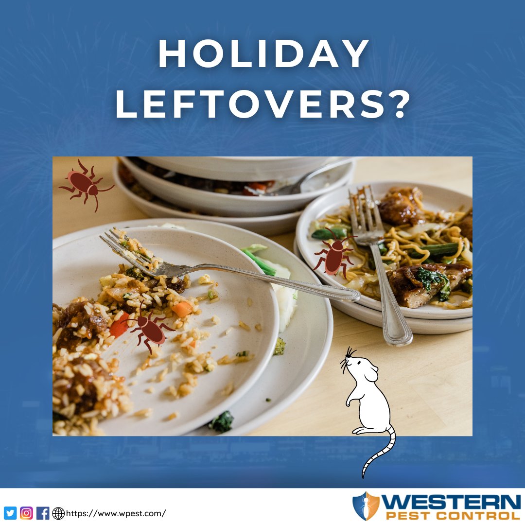 As you celebrate the Holidays, don't let pests ruin the festivities. Keep your kitchen clean by wiping down countertops and sinks, storing leftover food properly, and getting rid of excess garbage. Start the new year off right by keeping pests at bay and enjoying the celebration.