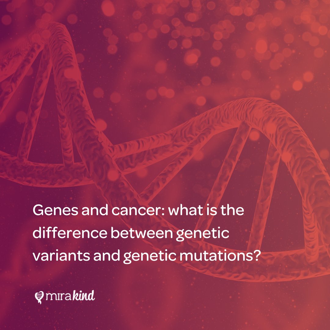 MiraKind tweet media