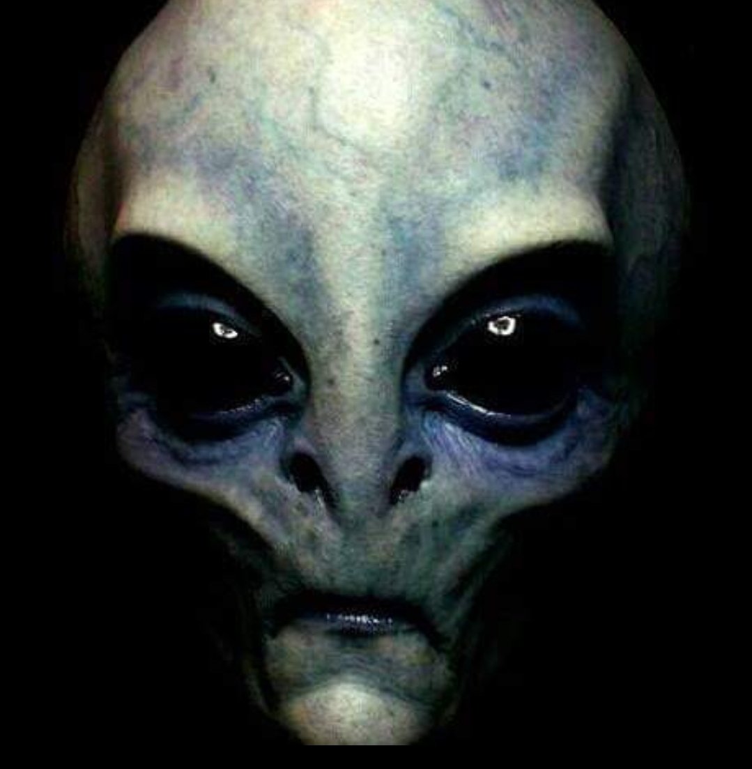 EBE6934_13's tweet photo. It is I who needs to apologize,it is broken, it is tired, It is sorry..Be well humans...👽 https://t.co/YyVR1sknJQ
