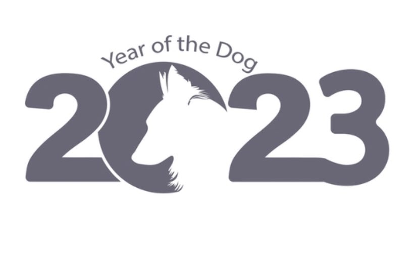 𝐍𝐞𝐰 𝐘𝐞𝐚𝐫,𝐬 𝐑𝐞𝐬𝐨𝐥𝐮𝐭𝐢𝐨𝐧 #contest is on - you can start submitting your 𝐞𝐬𝐬𝐚𝐲 (as told by your Fido) ... 100-300 words 𝐰𝐢𝐭𝐡 𝐢𝐦𝐚𝐠𝐞𝐬 with their resolution contest@fidofriendly.com YEAR OF THE DOG in subject/w/your name Fido’s name/where you live