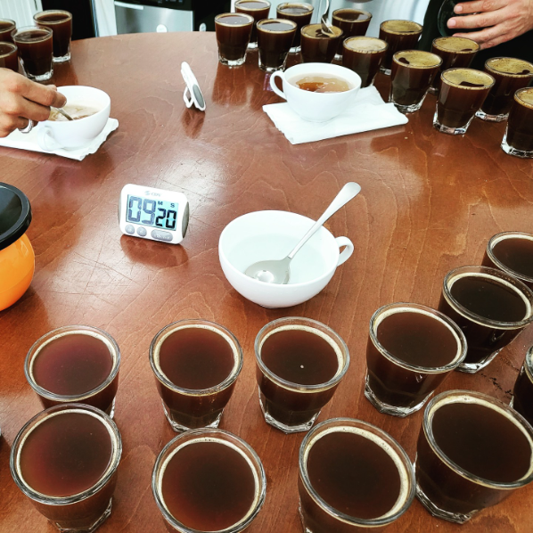 citybean's tweet photo. Another day at City Bean, another cupping with our coffee educator @somnolentpotato and our QC crew to assure all of our roasts are on 🎯! https://t.co/3CObuaF5sh