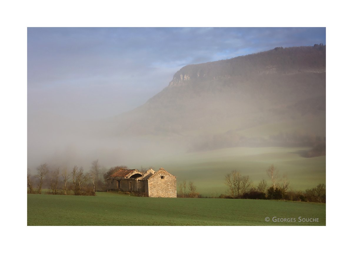Georges Souche Photographe tweet media