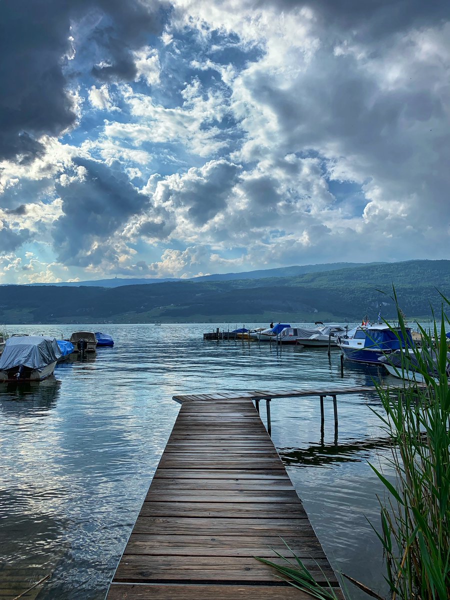 Twitter hat in diesem Jahr viel Frust transportiert. Höchste Zeit für einen Kontrapunkt! Mach doch auch mit bei #ShareYourMagicMoment2022 &amp; verbreite einen eigenen Tweet (Foto, Video od. eine Geschichte) mit diesem Hashtag. Gut für die TL &amp; das Gemüt. 
Danke im Voraus für RT.