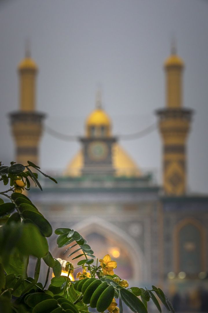 اللهمّ إنّي أسألك من قوّتك لضعفنا، ومن غناك لفقرنا وفاقتنا

#العتبة_الحسينية_المقدسة