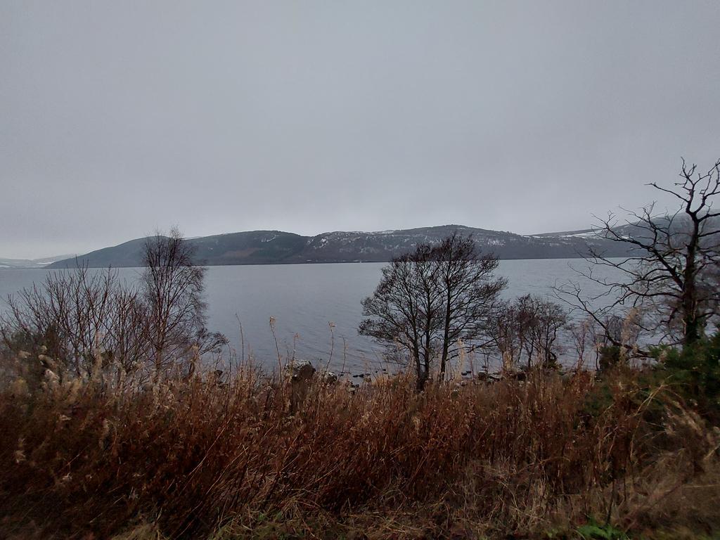 Dr Sue Whitcombe tweet media