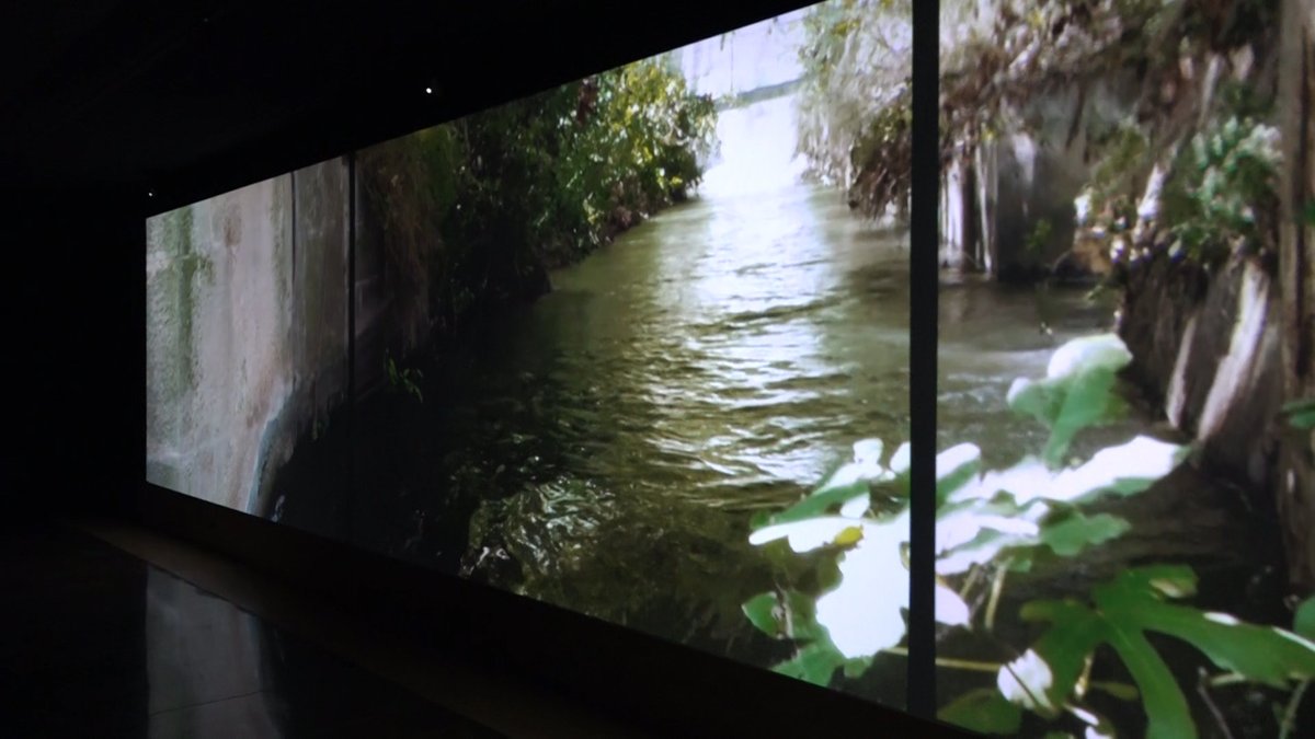 Mollerussa Televisió tweet media