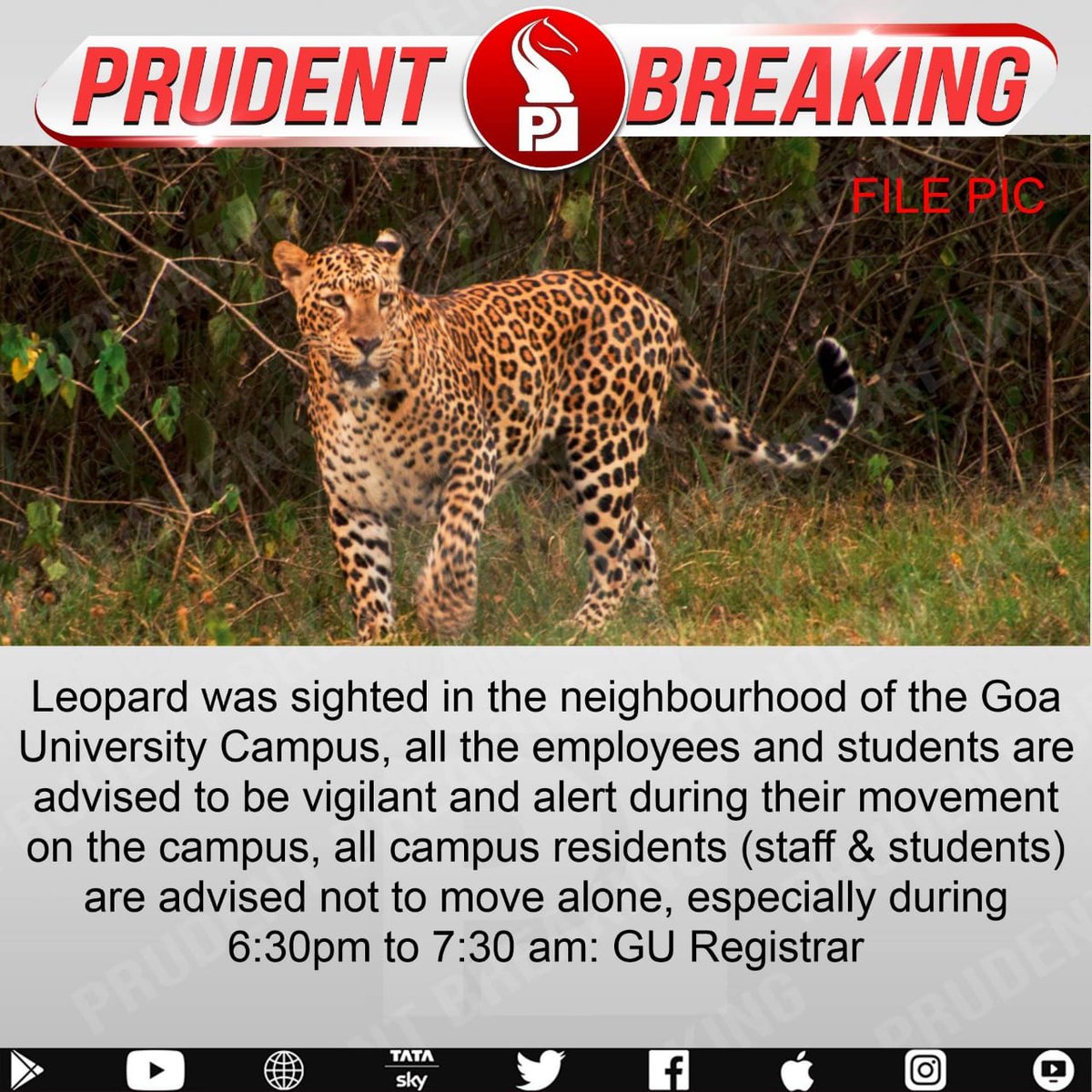 grievingsoull's tweet photo. We need holidays.....unless they catch it......don't wanna die of this bitch
#wewantholidays #leopard #dontwannadie #SaveLives #giveholidaysavelives #savehandsandlegs #notgoingback
#capture #givefood #savedeliverymen #savestudents #saveemployees https://t.co/EK2LrYEfV7