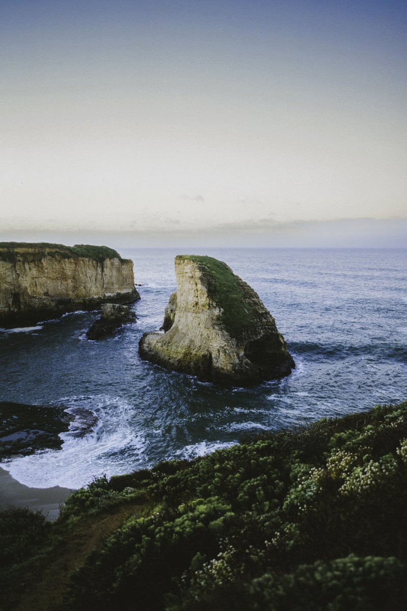 nick rufo on Twitter: 