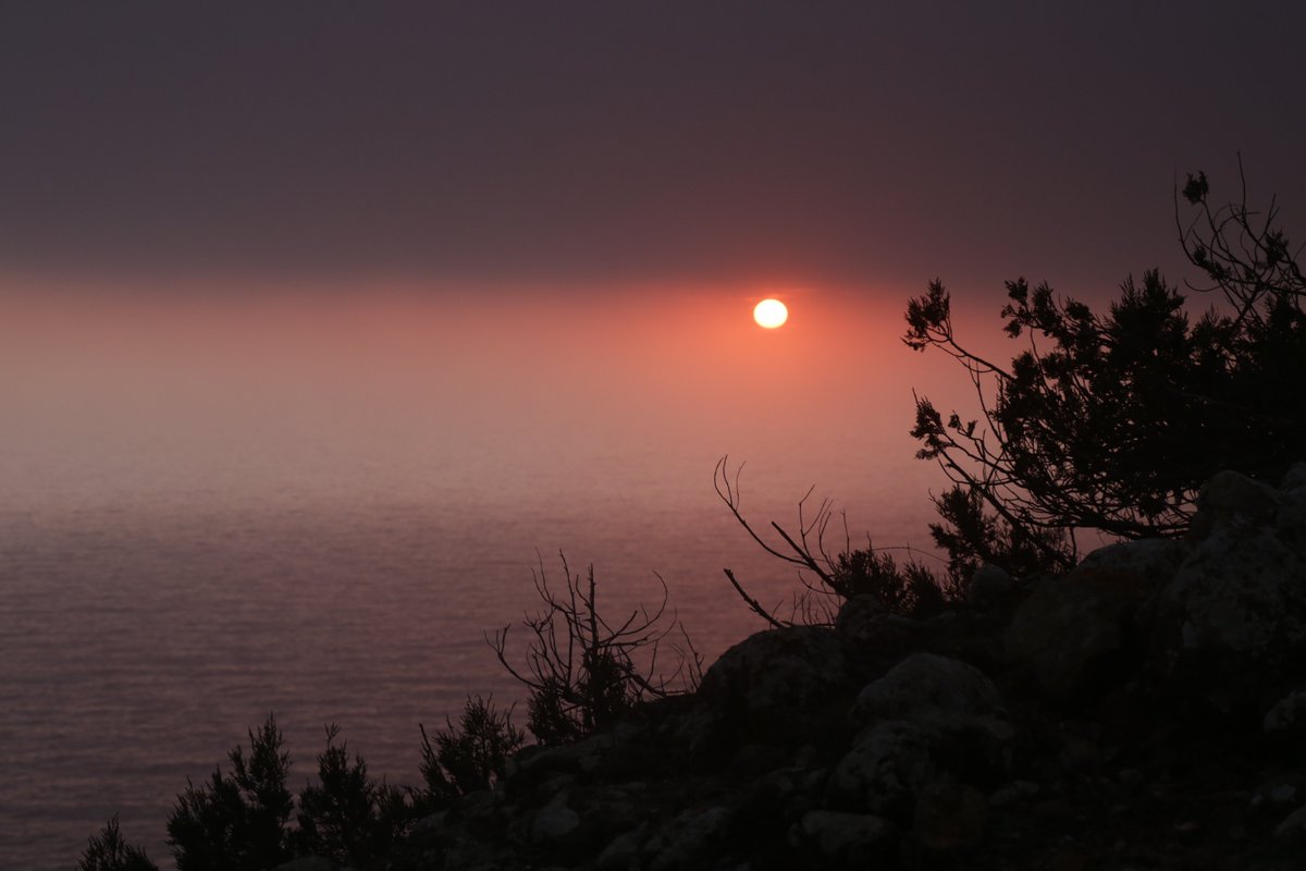 tamarikon_band's tweet photo. "The Twilight Gate". In my walk along the cliff above the sea, nature gave me a wonderful gift. Pink mist. This is not photoshop. It is a reality that is so incredible !
>
<
>
#titchenkova_tamara_photo #tamarikon_photo #mountainphoto #pinkfog #sunset #sea #NaturePhotography https://t.co/M40ZeUfQa9