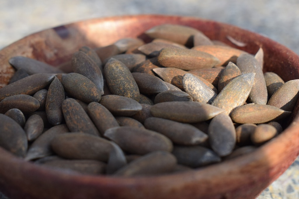 TechAsli's tweet image. چلغوزے کے بارے میں خواب کی تعبیر
techasli.com/pine-nuts-chil…
خواب میں چلغوزے دیکھنے سے ظاہر ہوتا ہے کہ آپ کا مستقبل روشن ہوگا۔ اور آپ کی آمدنی میں اضافہ ہوگا۔ بعض معبرین کے مطابق