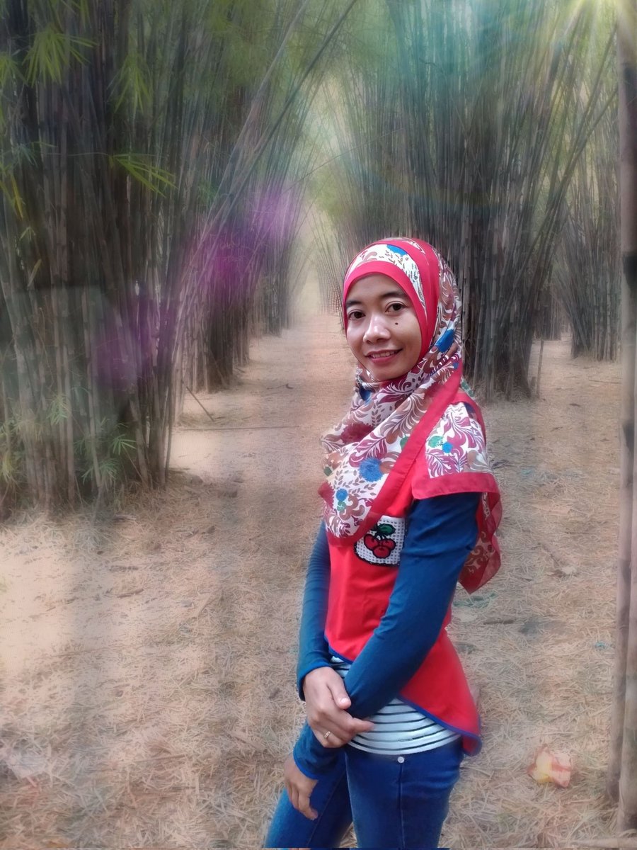 zainulportrait's tweet photo. #hutanbambu #hutanbambukrputih #Surabaya #tamansakurakeputih #mangroves https://t.co/2ahfBJEKtd
