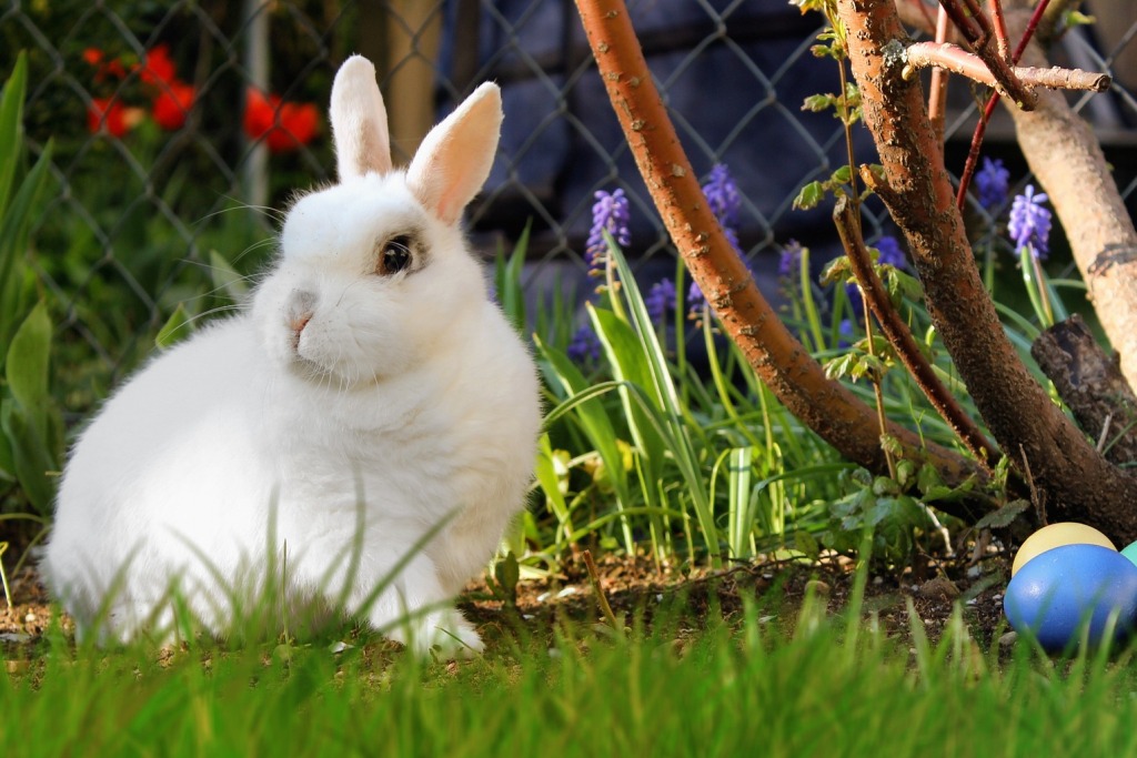 TechAsli's tweet image. خواب میں خرگوش دیکھنے کی تعبیر
techasli.com/rabbit-khargos…
اگر آپ خواب میں خرگوش دیکھیں۔ تو اس کا مطلب ہے کہ آپ ڈر جائیں گے۔ آپ کا اعتماد کم ہو سکتا ہے۔ اور آپ خود پر شک کرنے لگیں گے۔