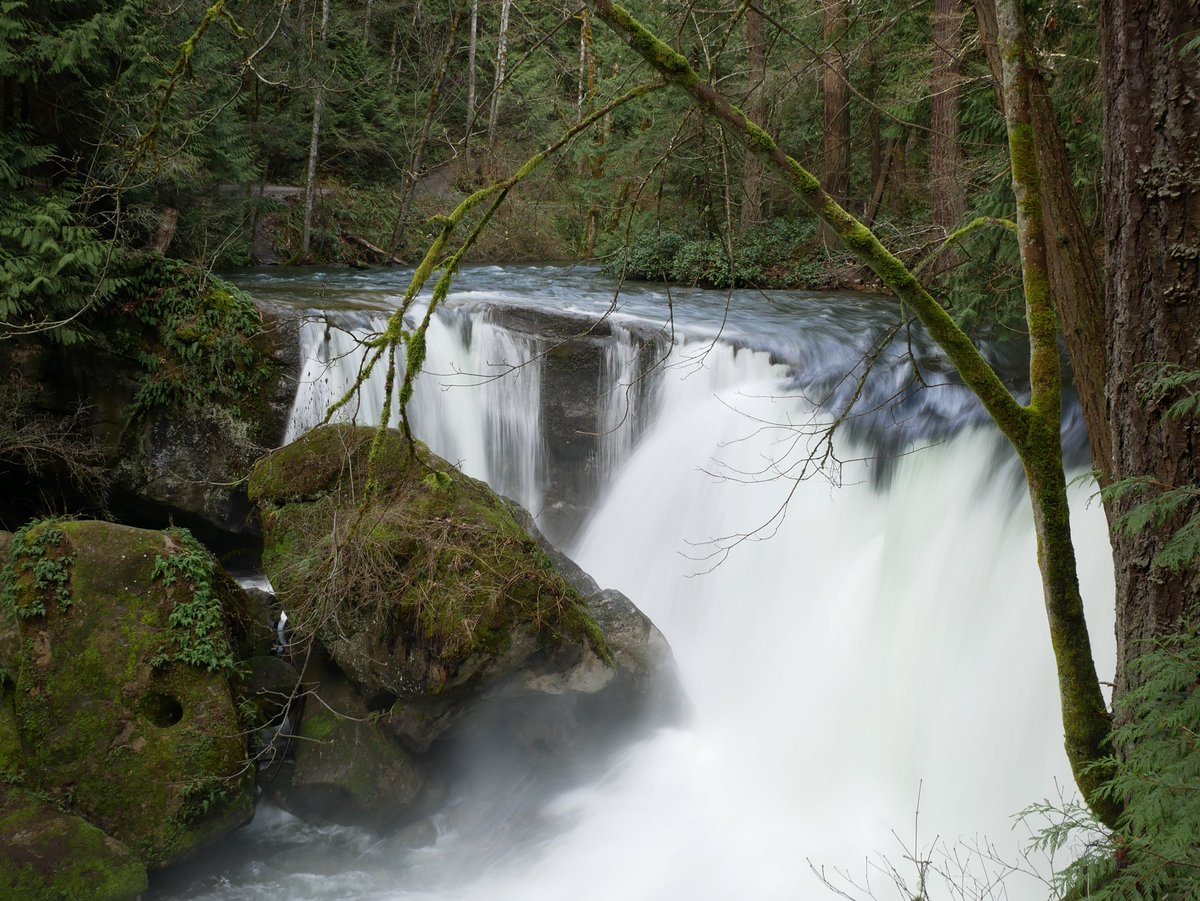 TonyCava's tweet photo. #SomethingBeautiful Bellingham Archive- Whatcom Falls hand-held long exposure, April 2 2017. #BellinghamWA #WhatcomFalls #HandHeldPhotography #LongExposure #ThePhotoHour #WaterfallWednesday https://t.co/H0mfxfX0Uo