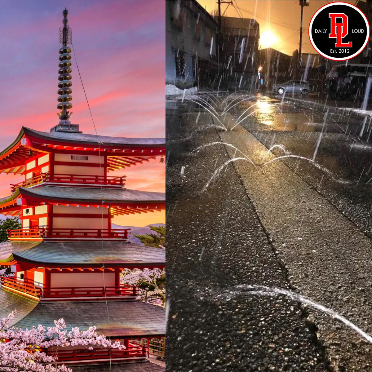 Daily Loud tweet media