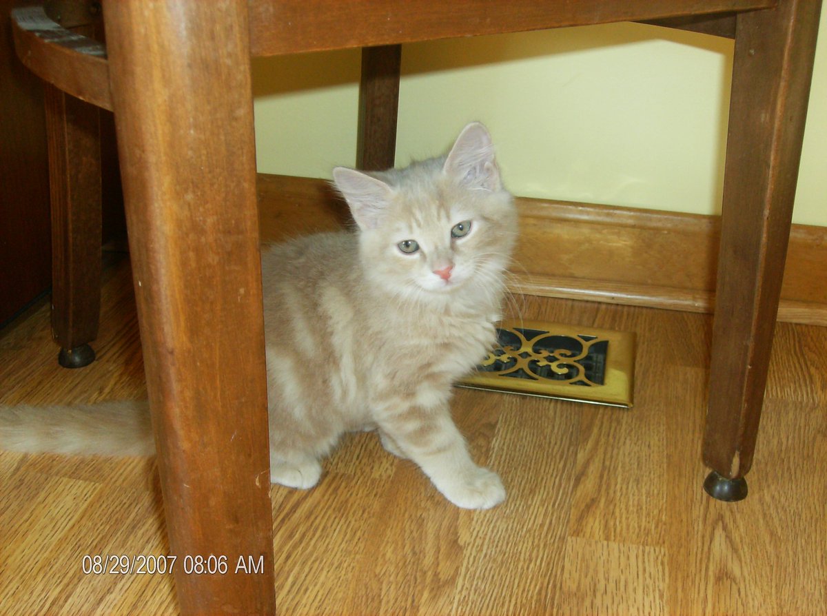 Friends of 🌈Garf🌈 are at frensofgarf.bsky.social tweet media