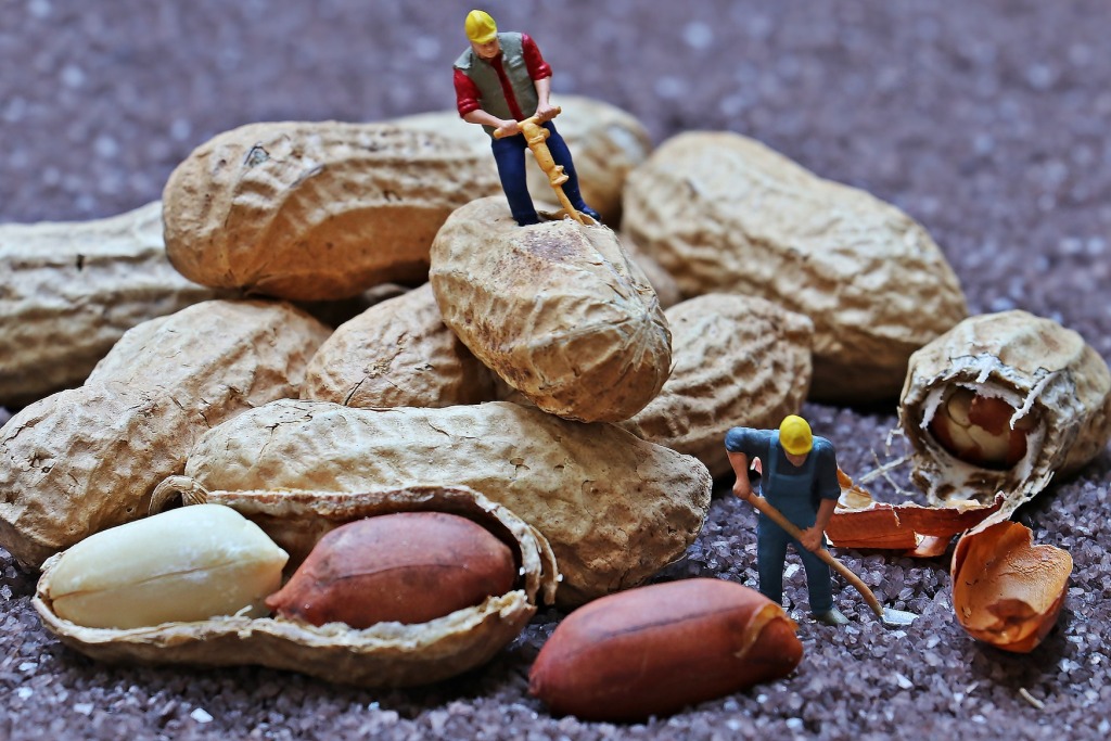 TechAsli's tweet image. مونگ پھلی کے بارے میں خواب کی تعبیر
techasli.com/peanuts-mong-p…
وہ خواب جن میں آپ مونگ پھلی دیکھتے ہیں اور ان کی موجودگی یا ذائقہ کو محسوس کر سکتے ہیں۔ ان کے کئی معنی ہوتے ہیں۔