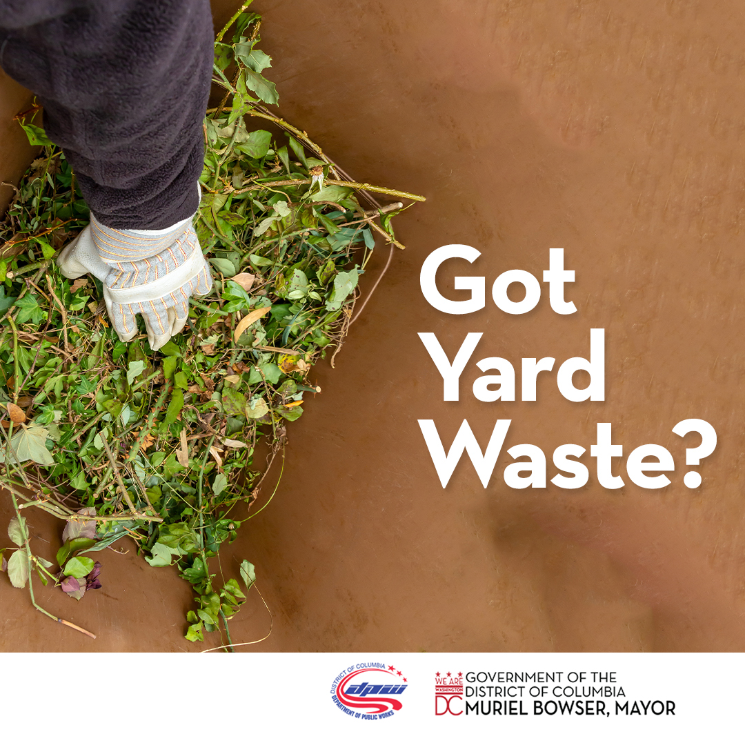 DC Department of Public Works on Twitter "Bagged leaves are not