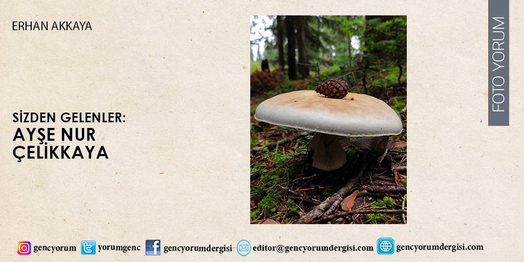 YorumGenc's tweet photo. Foto Yorum sayfamızda sizden gelen fotoğrafları yayınlamaya devam ediyoruz... @fotoyorum_gy
Editör: @erhanakkaya42
https://t.co/wM3YqPwNuX
#dergi #gencyorum #sizdengelenler #fotoyorumgencyorum #fotoğraf https://t.co/x8OqTjw6TH