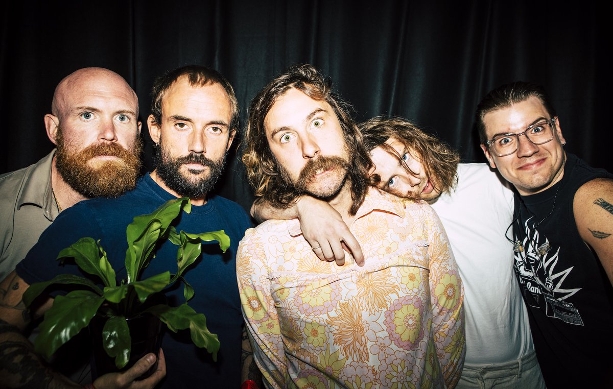 Evolution 77 tweet media