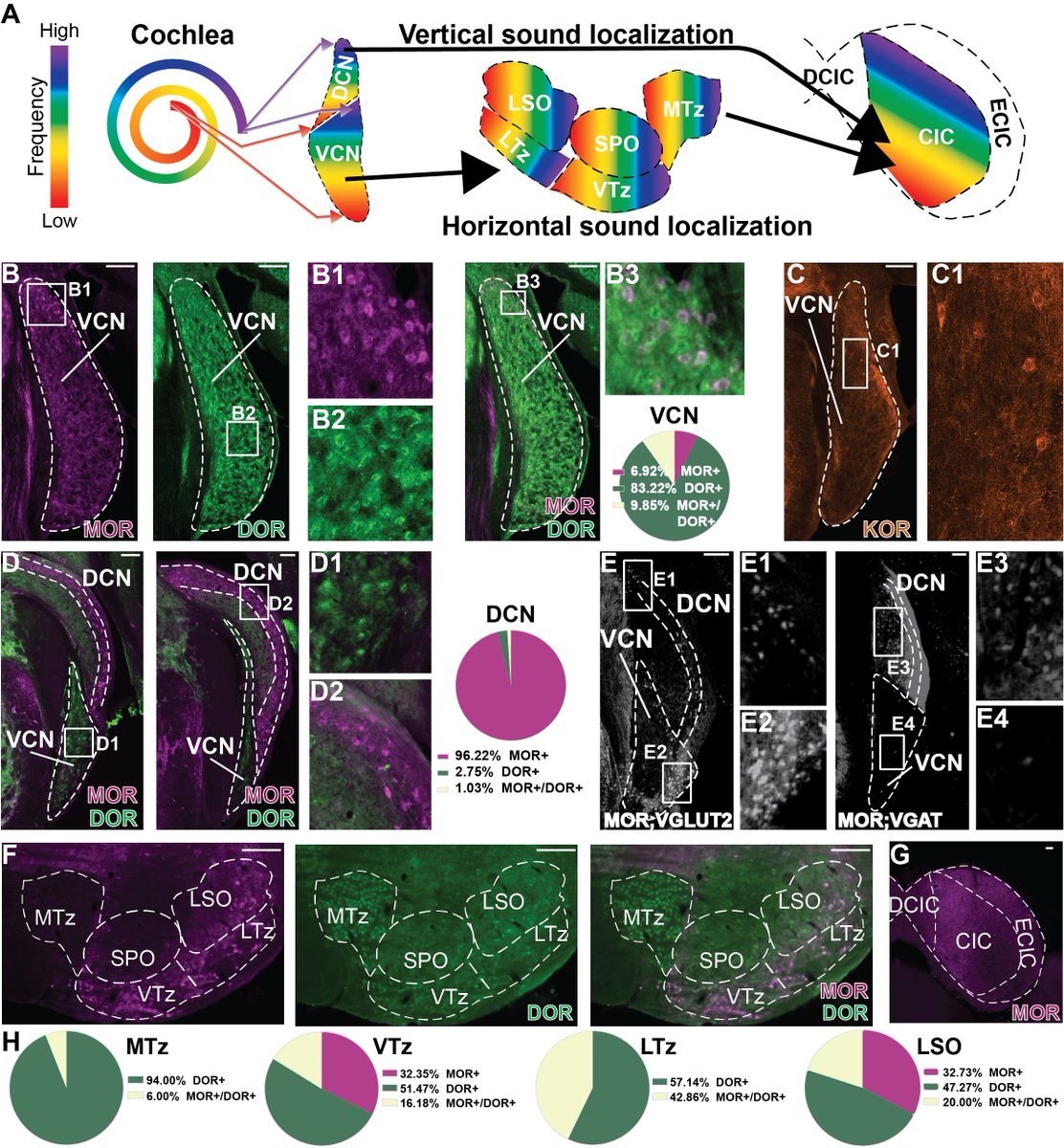 Nicole Mercer Lindsay tweet media