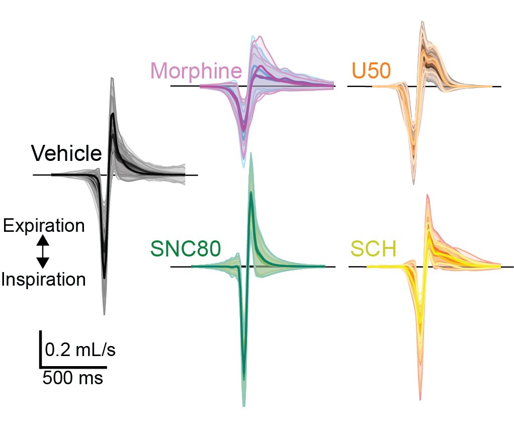 Nicole Mercer Lindsay tweet media