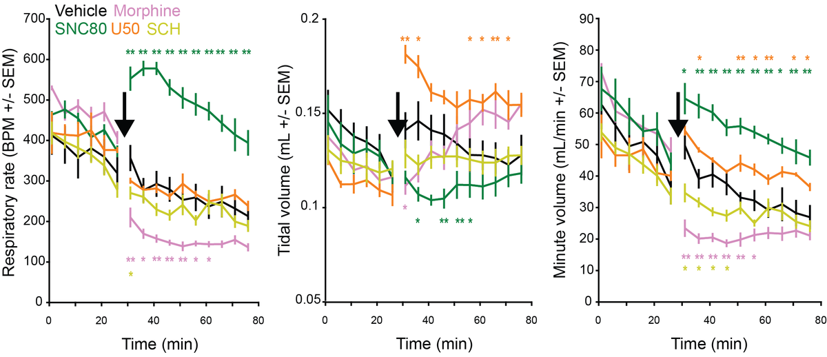 Nicole Mercer Lindsay tweet media