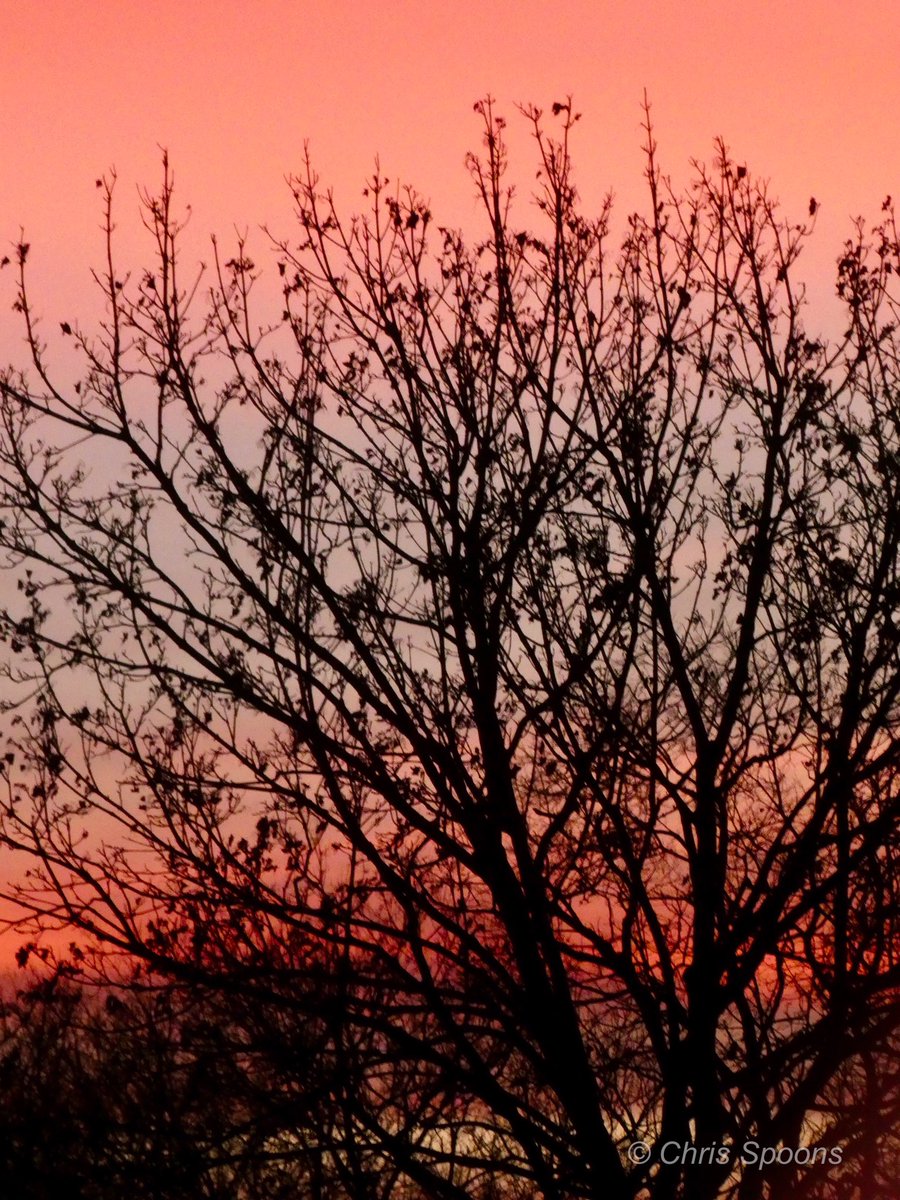 A lovely sunrise. 😊 

#sunrise #ilwx #NaturePhotography #TwitterNatureCommunity #ThePhotoHour <a href="/EarthandClouds/">Earth and Clouds</a> <a href="/EarthandClouds2/">Earth and Clouds II</a> @LensAreLive