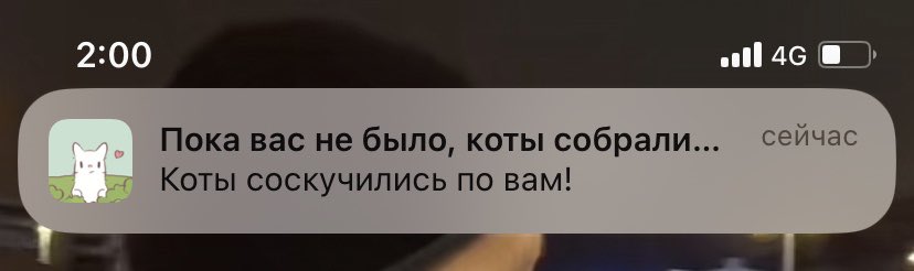 ettoilier's tweet photo. хоть кто-то😕🥺 начала снова играть и теперь каждый день готовлю супчики с милушками https://t.co/IzZ69478D9