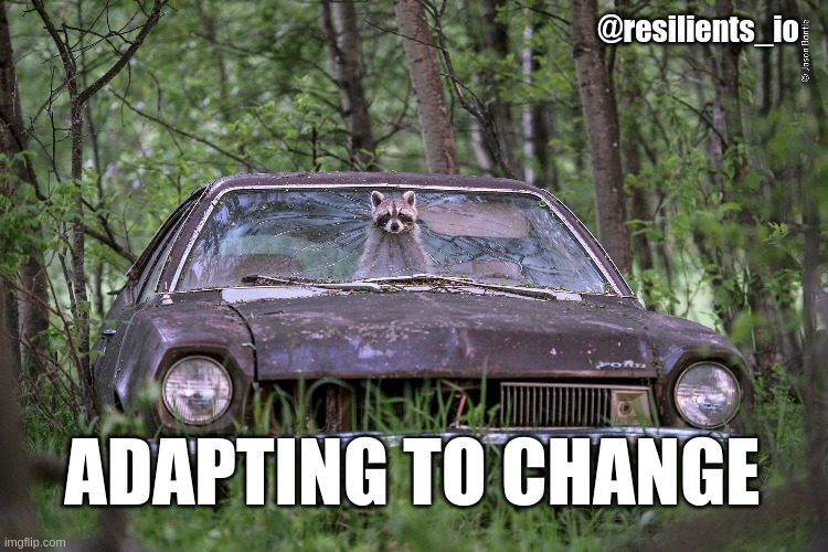 Everyone has to adapt in this new world

With #Resilients, we offer you sustainable solutions to do our part of the work and find meaning where there is none anymore

Follow us to be part of it!

#Refi #Rewild #biodiversity #SolarPunk #UTOPIA