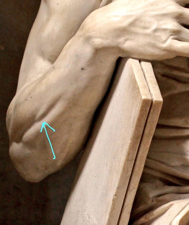 historydefined's tweet photo. Amazing detail on Michaelangelo's Moses. Humans have a small muscle on the forearm that's only visible when they lift a pinky. Because Moses is lifting his pinky, the muscle is contracted. https://t.co/1dyaCTAWz5