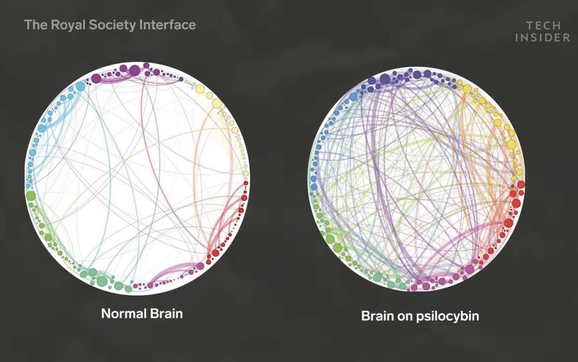 askmnai's tweet photo. In a new study, Yale researchers show that a single dose of #psilocybin given to mice prompted an immediate and lost-lasting increase in connections between neurons. #mushroomtwitter https://t.co/FdBhjguODi