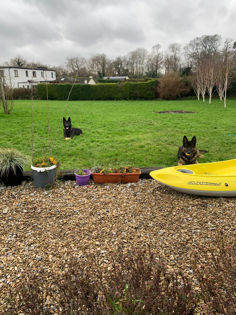 Colin Henry tweet media