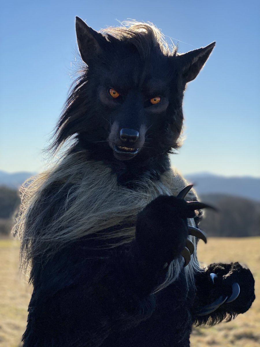 shaqualhound's tweet image. You might be wondering why I brought you out here~

📸Ukinart
#hellhound #clockworkcreature #fursuit #furryfandom #realisticfursuit