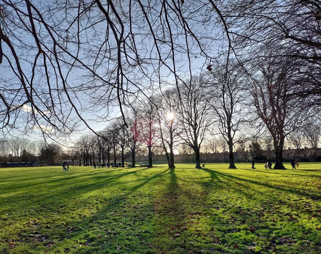 fractos's tweet photo. Lloyd Park scrubbing up well https://t.co/lMj4RUh8M5 https://t.co/LhtP72XQmT