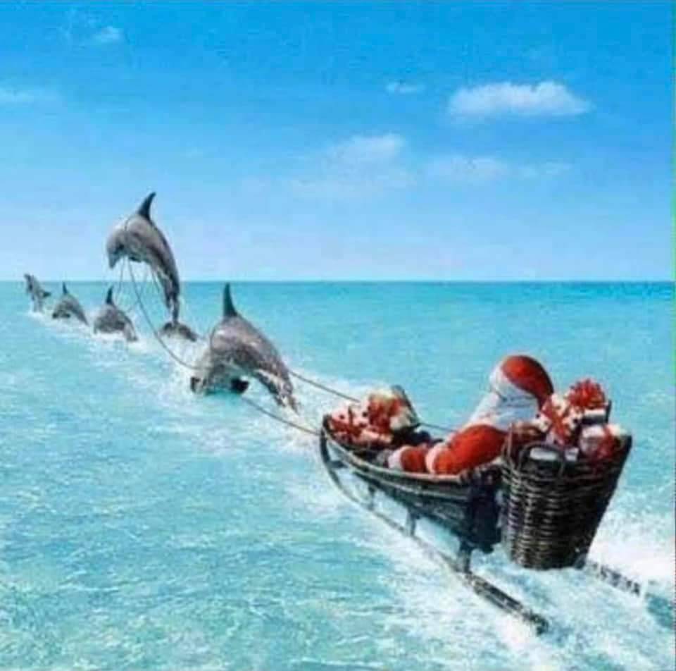 PacificCrestSB's tweet photo. We caught Santa leaving Santa Barbara.  Thanks, Santa! See you next y ear!   On to the new year.  It's time to start planning YOUR next visit to Santa Barbara.  We're waiting for you.  #pacificcresthotel #visitsantabarbara #beach #timeforavacatuin #2023 #santabarbara https://t.co/pBGKBPApWj
