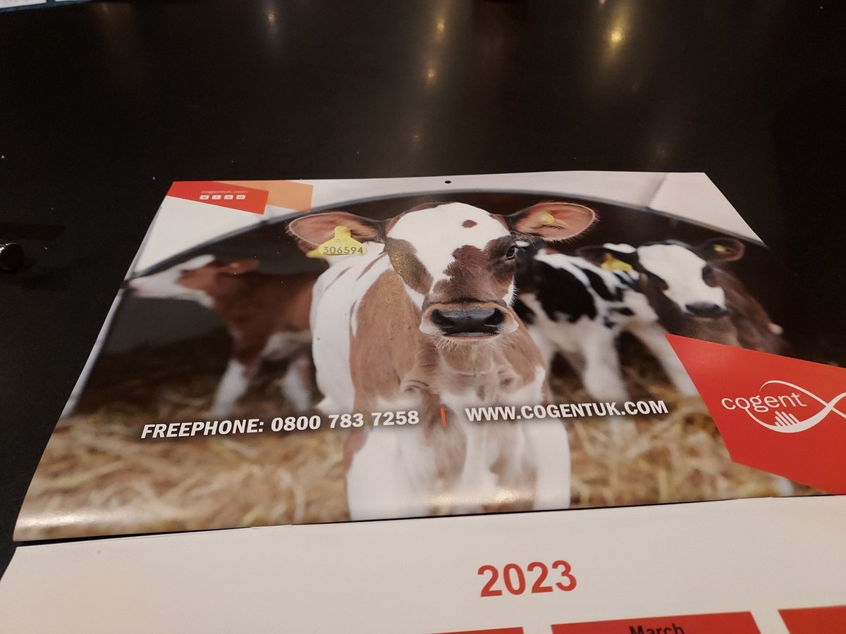 Nice photo in the cogent calendar!