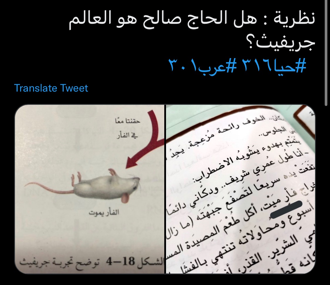 محمد 🇧🇭 tweet media