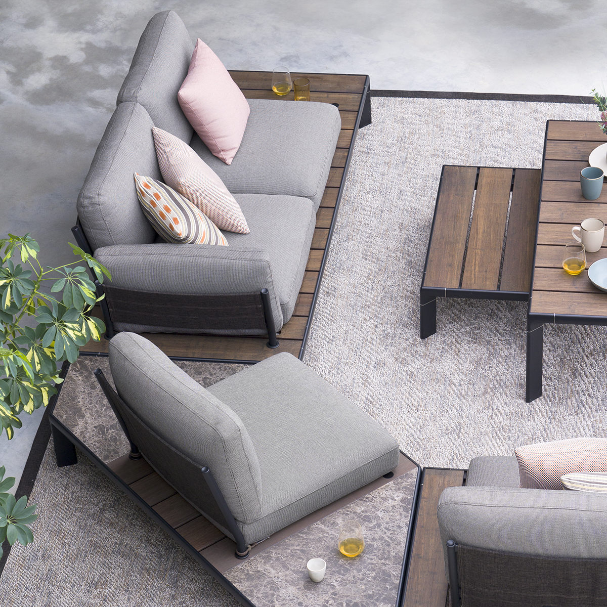 emuamericas tweet media