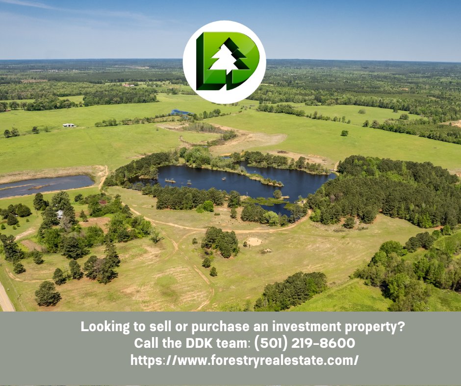 DavisForestry's tweet photo. Whether you are a prospective landowner or a seasoned timberland investor, we would like to understand your investment needs and help you meet them.

Call our team at (501) 219-8600 or visit our website: https://t.co/N1aq7gVriU https://t.co/Ud1uuZTXrW