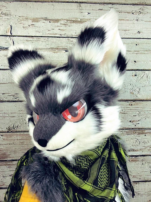 I keep flip flopping between selling or trading this suit. More than likely selling him but will entertain offers (DM me via telegram @ latinvixen ) suit is made by Ktcatvintage, comes with hand paws and will make a tail for him so it's a full mini partial. If you want to make 