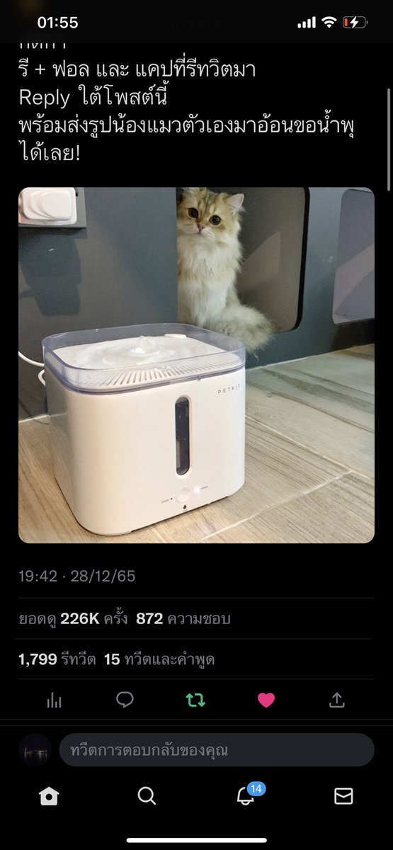 Dailyencounter2's tweet photo. @Bonusiie พึงรับน้องสามแสบมาค่า พาน้องมาอ้อนค่า 🥹🥹🥺🥺 https://t.co/SsD0FcVWtR