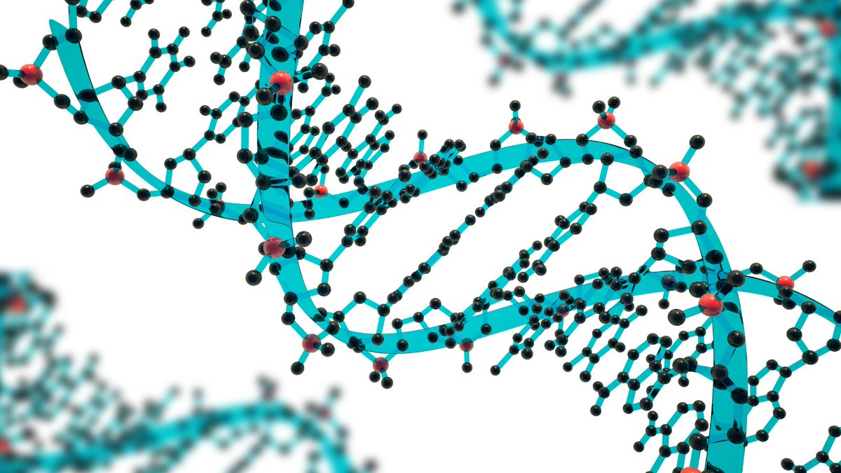 ASGCTherapy's tweet photo. #ASGCTYearInReview: Preliminary data presented by ASGCT Member Roger Hajjar, MD, at the 2022 Annual Meeting showed #genetherapy to treat congestive heart failure had 30 times higher uptake in human hearts compared to pig hearts, at just 1/10 of the dose. https://t.co/QGmh0Emljo https://t.co/goSe1CY6iM