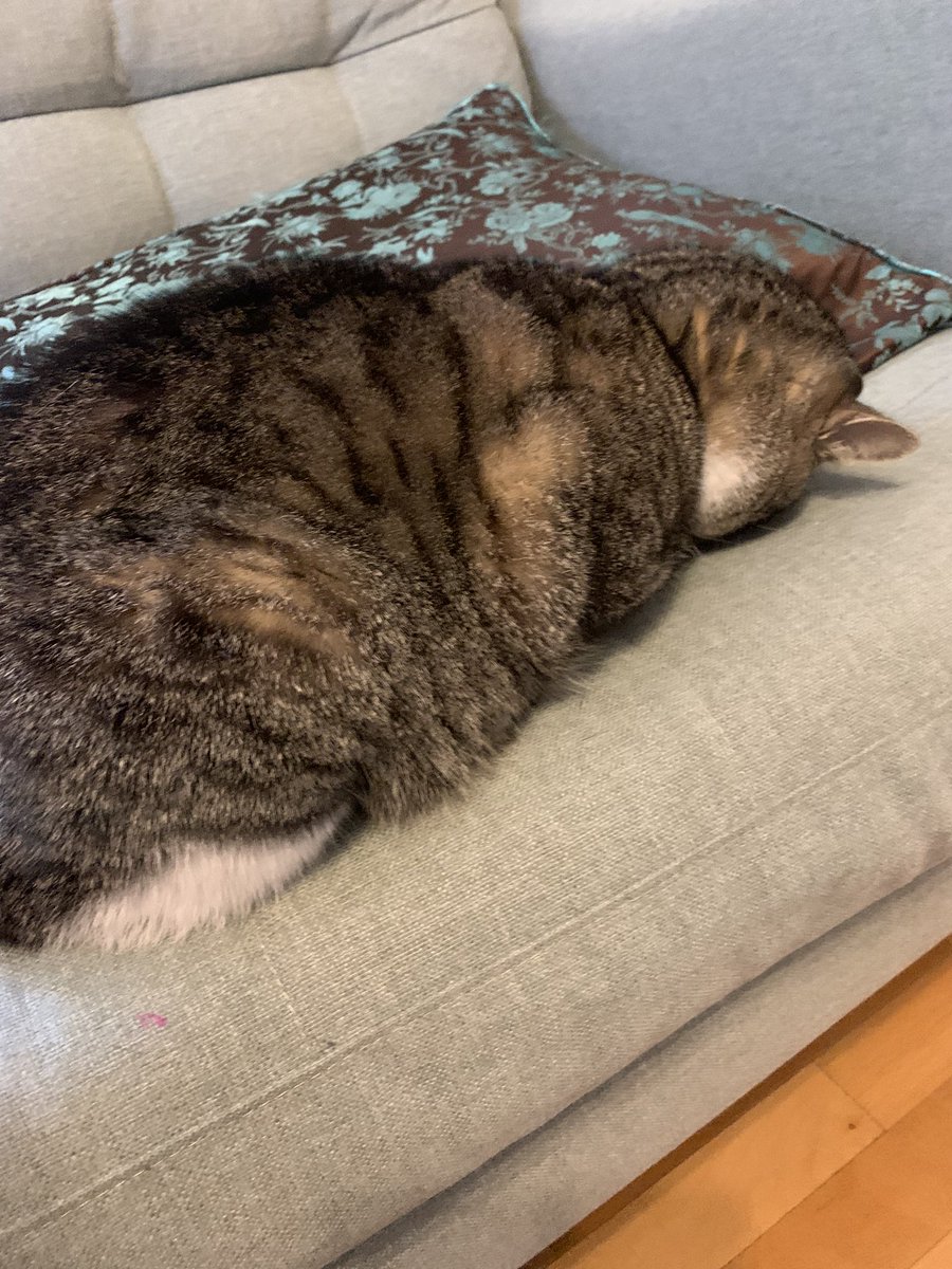 Lina Farrow tweet media