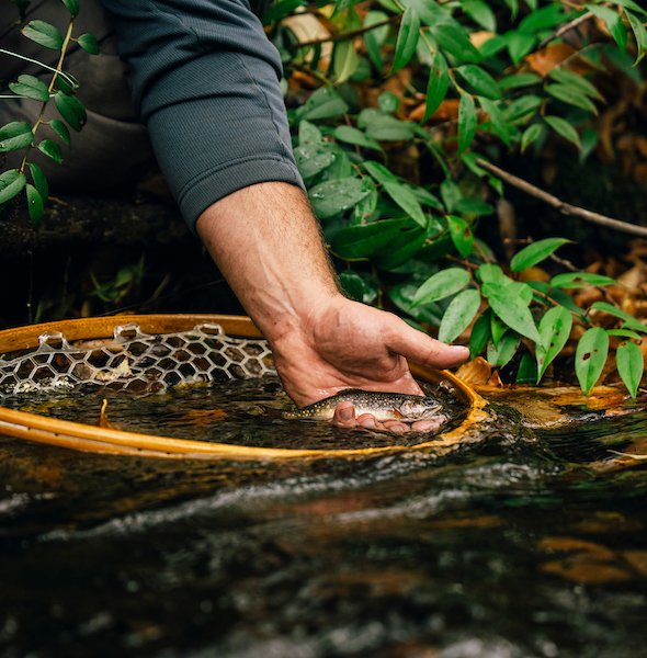 Trout Unlimited tweet media