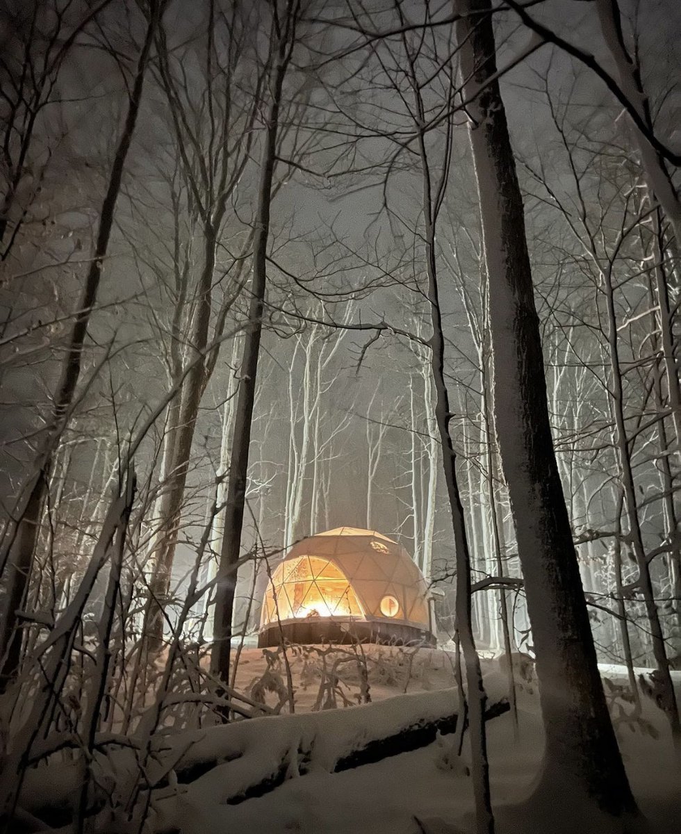 PacificDomes's tweet photo. Sometimes people ask us why domes. The answer is they look epic.
20 ft. (6m) Glamping dome at Glen Oro Farm in Canada
#dome #geotent #geodesicdome https://t.co/bdMyk8mG1b