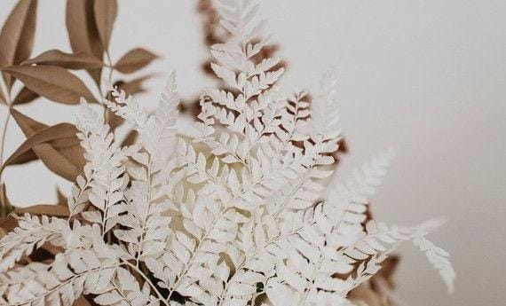 SOjnHe's tweet photo. ∝    ❝ 𝙔𝙤 𝙤𝙨 𝙙𝙚𝙘𝙡𝙖𝙧𝙤 𝙢𝙖𝙧𝙞𝙙𝙤 𝙮 𝙢𝙪𝙟𝙚𝙧.❞

                        ↳    ❲ ʀᴏʟ: @cxndyphon ❳ https://t.co/uOm9Pacmi2