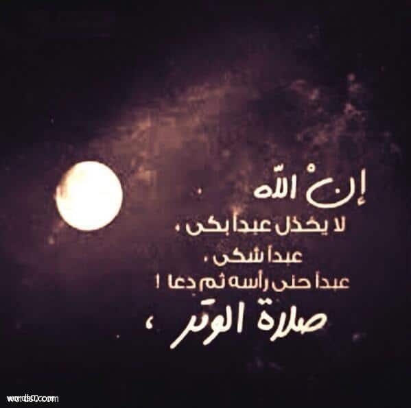 obhlial's tweet photo. الأرض لا تنسى جباه الساجدين ، والله يسمع ويُجيب الداعين ، وفي جوفِ الليلِ هباتٌ لا ينالها إلّا القائمين .. https://t.co/Fn1cud75N5