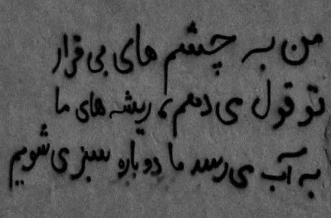 ForFreedom20222's tweet photo. ما دوباره سبز می‌شویم...
#زن_زندگی_آزادی 
#مهسا_امینی https://t.co/24Xw1iJmZ1